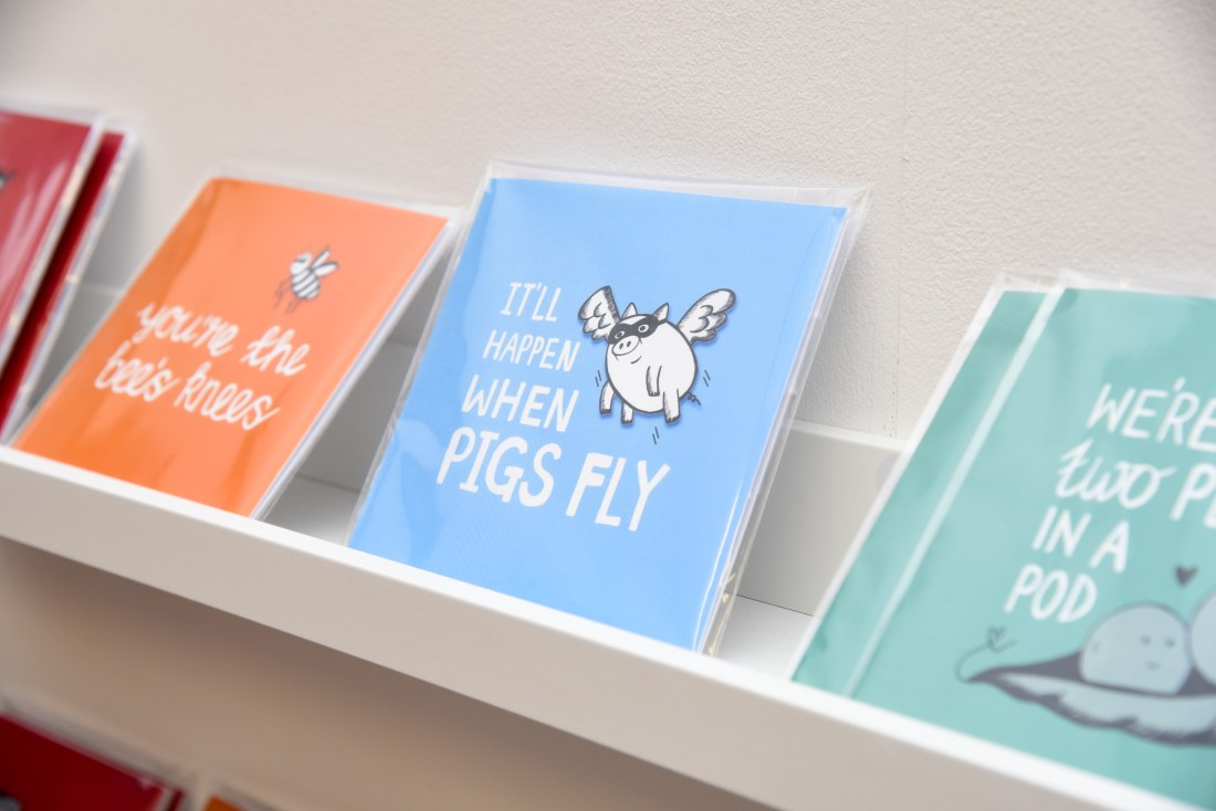 34663164810_195cf622a3_o